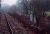 Herbststimmung_ (4)